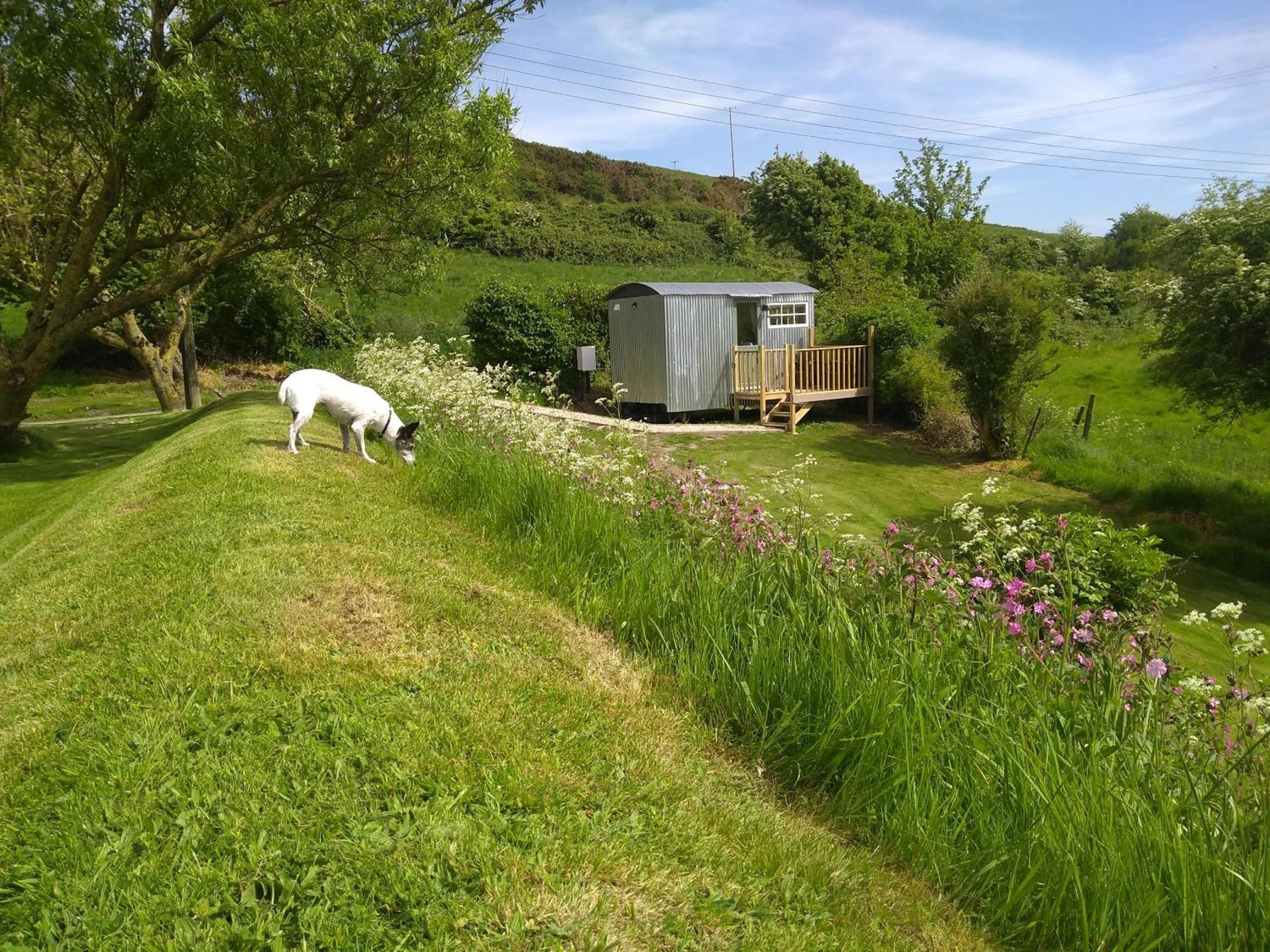 Shepherds Hut Weymouth Extérieur photo